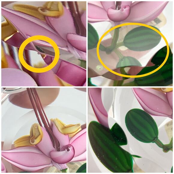 Perthshire 1987C Theobroma Cacao Flower Scallop Faceted Lampwork Paperweight COA - Picture 11 of 16